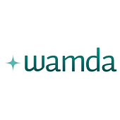 Wamda article about PALM fundraising